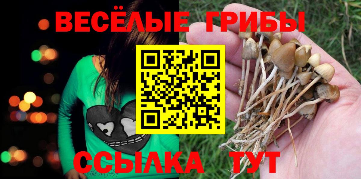 Псилоцибиновые грибы прущие грибы  Псилоцибиновые грибы ЛСД  Железногорск  Вход с VPN 